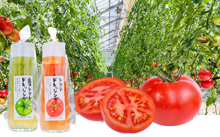 トマトドレッシング(3本)詰め合わせセット 日田市 / 有限会社マルカ農園(トマトファーム) とまと ドレッシング[ARAH003]