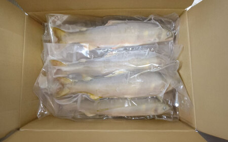 日田産天然鮎(冷凍)1kg　日田市 / 日田漁業協同組合 魚 あゆ アユ[ARFJ002]