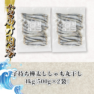 子持ち樺太ししゃも丸干し (計1kg・500g×2袋) 干物 ししゃも シシャモ 丸干し 魚 海鮮 冷凍 大分県 佐伯市【AP82】【(株)ヤマジン】