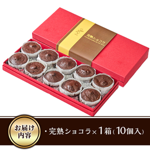 完熟ショコラ (計10個) ショコラ チョコレート スイーツ アイス 冷凍 お菓子 おやつ 焼き菓子 お取り寄せ 大分県 佐伯市 【AJ83】【 (有)ケーキ大使館クアンカ・ド－ネ】
