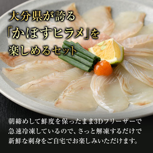 大分県産 かぼすヒラメ刺身セット (計240g・かぼすヒラメ60g×4皿、醤油ダレ30ml×4個) かぼす 平目 刺身 鮮魚 冷凍 養殖 国産 大分県 佐伯市 【GO006】【(株)水元】