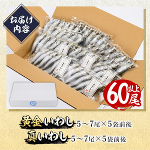 ＜訳あり＞佐伯市産真いわしと黄金いわし 食べ比べ (2種・60尾以上) 国産 大分県産 イワシ 黄金いわし 丸干し 魚 海鮮 冷凍 おつまみ 小分け【GX003】【(有)マルサン商店】