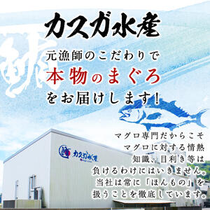 佐伯市産本マグロ 大トロ・中トロ 食べ比べ(合計約400g・大トロ200g・中トロ200g) 大とろ 中とろ セット マグロ 鮪 刺身 さしみ 魚 海鮮 冷凍 大分県 佐伯市【DH257】【(株)ネクサ】