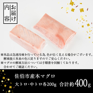 佐伯市産本マグロ 大トロ・中トロ 食べ比べ(合計約400g・大トロ200g・中トロ200g) 大とろ 中とろ セット マグロ 鮪 刺身 さしみ 魚 海鮮 冷凍 大分県 佐伯市【DH257】【(株)ネクサ】