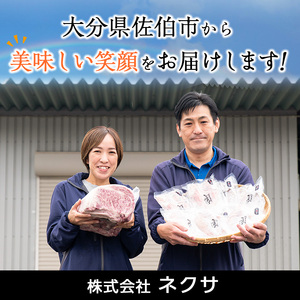 佐伯市産本マグロ 大トロ・中トロ 食べ比べ(合計約400g・大トロ200g・中トロ200g) 大とろ 中とろ セット マグロ 鮪 刺身 さしみ 魚 海鮮 冷凍 大分県 佐伯市【DH257】【(株)ネクサ】