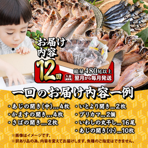 <定期便・全12回 (毎月)>訳あり 干物大満足BOX (480尾以上)定期便 簡単 調理 干物 あじ かます さば いわし みりん干し 丸干し 開き 魚 海鮮 冷凍 詰め合わせ セット 大分県 佐伯市【AQ91】【やまろ渡邉】