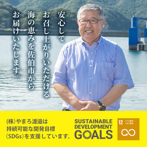 <定期便・全12回 (毎月)>訳あり 干物大満足BOX (480尾以上)定期便 簡単 調理 干物 あじ かます さば いわし みりん干し 丸干し 開き 魚 海鮮 冷凍 詰め合わせ セット 大分県 佐伯市【AQ91】【やまろ渡邉】