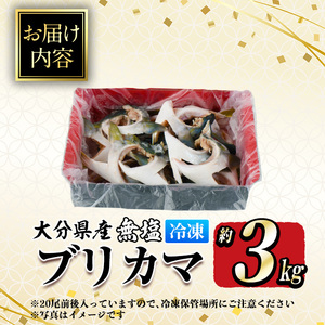 ＜訳あり＞ 無塩 ブリカマ (約3kg)大分県産 国産 ぶりかま ブリ ぶり 鰤 養殖ブリ 煮つけ 鰤かま カマ焼き 冷凍 大分県 佐伯市【ET002】【(有)三宅水産】