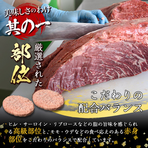 おおいた和牛 100% 手ごね 生ハンバーグ (計900g・150g×6個) 国産 牛肉 肉 霜降り A4 和牛 ブランド牛 冷凍 大分県 佐伯市【DH267】【(株)ネクサ】