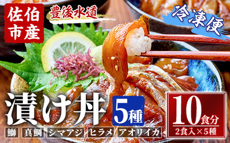 漬け丼 5種セット (計10食分・2食入×5種) りゅうきゅう あつめし 魚介 鰤 ブリ 真鯛 タイ シマアジ アジ ヒラメ 鮃 アオリイカ イカ 冷凍 海鮮 海の直売所 大分県 佐伯市【AS147】【海べ (株)】