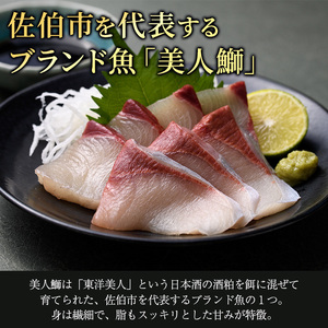 大分県産 美人鰤 刺身・しゃぶしゃぶセット (合計560g・刺身100g×2皿、しゃぶしゃぶ180g×2皿、醤油ダレ30ml×2個、ポン酢30ml×2個) 鰤 ブリ 鮮魚 冷凍 養殖 国産 大分県 佐伯市 【GO009】【水元】