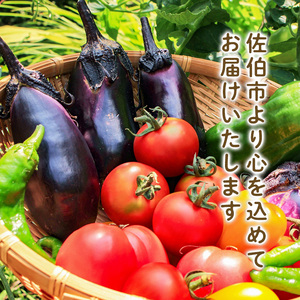 植物活性剤 ファームテック アミノ酢糖(1L・1本)＆特殊堆肥・一石二鳥セット(15kg×1袋)発酵鶏ふん バーク堆肥 炭水化物 アミノ酸 有機酸 根毛発根促進 葉面散布 オーガニック 農業 野菜 花 大分県 佐伯市【HD231】【さいき本舗 城下堂】