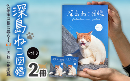 深島ねこ図鑑vol.3 (2冊) 猫 ねこ 写真集 本 雑誌 書籍 深島 猫の島 グッズ 大分県 佐伯市 【HD239】【さいき本舗 城下堂】 10,500円