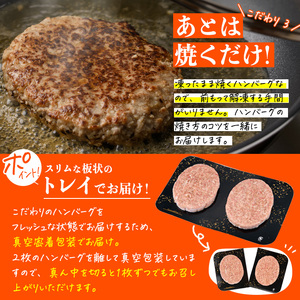 時短おかず 焼くだけ ジューシー！手ごねハンバーグ (計1.5kg・150g×10個) 国産 牛肉 肉 豚肉 合い挽き ハンバーグ 生ハンバーグ 冷凍 惣菜 お弁当 小分け 真空 簡単 時短 大分県 佐伯市 【DH272】【(株)ネクサ】