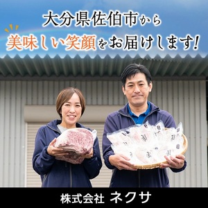 時短おかず 焼くだけ ジューシー！手ごねハンバーグ (計1.5kg・150g×10個) 国産 牛肉 肉 豚肉 合い挽き ハンバーグ 生ハンバーグ 冷凍 惣菜 お弁当 小分け 真空 簡単 時短 大分県 佐伯市 【DH272】【(株)ネクサ】