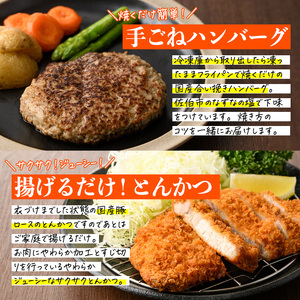 <定期便・全4回>下ごしらえ済みおかず バラエティーセット 4種 (3ヶ月ごとにお届け) 肉 魚 ハンバーグ からあげ 唐揚げ とんかつ あじフライ 冷凍 惣菜 お弁当 簡単 時短 定期便 【DH278】【(株)ネクサ】