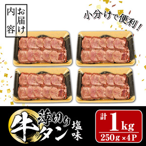 薄切り 塩味 牛タン (計200g) 小分け 牛肉 肉 タン 牛たん 味付け 焼肉 塩 BBQ 冷凍 大分県 佐伯市 【DH281】【(株)ネクサ】