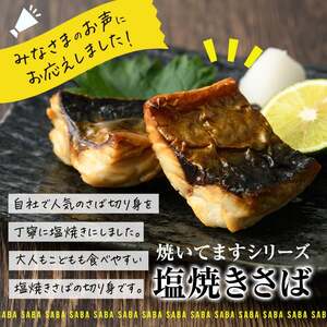 訳あり サバ 切り身(計22切・2切入り×11袋：隔月3回) 定期便 おかず おつまみ 小分け 個包装 鯖 切り身 骨取り 骨抜き 簡単調理 自然解凍 国産 お弁当 惣菜 焼き魚 塩サバ 焼いてますシリーズ 【DL32】【鶴見食賓館】