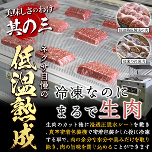 プライム牛 塩ハラミ(計200g) 小分け 牛肉 肉 ハラミ 牛はらみ 味付け 焼肉 塩 BBQ 冷凍 大分県 佐伯市【DH294】【(株)ネクサ】