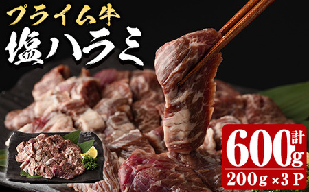 プライム牛 塩ハラミ(計600g) 小分け 牛肉 肉 ハラミ 牛はらみ 味付け 焼肉 塩 BBQ 冷凍 大分県 佐伯市【DH296】【(株)ネクサ】