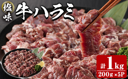 塩味 牛ハラミ (計1kg) 小分け 牛肉 肉 ハラミ 牛はらみ 味付け 焼肉 塩 BBQ 冷凍 大分県 佐伯市【DH299】【(株)ネクサ】
