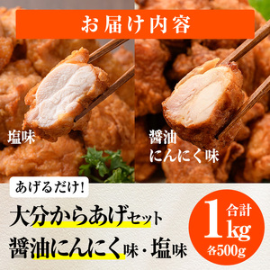 時短おかず 揚げるだけ 大分 からあげ 醤油にんにく味・塩からあげ セット (合計1kg・各500g) 国産 鶏むね肉 鶏もも肉 肉 からあげ 唐揚げ 名物 セット ご当地グルメ 食べ比べ 冷凍 惣菜 お弁当 小分け 簡単 時短 大分県 佐伯市【DH309】【ネクサ】