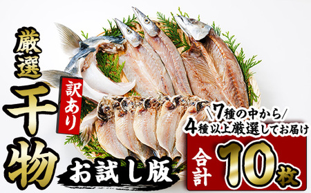 <訳あり> 厳選 干物 お試し版 (総量10枚) 簡単 調理 干物 あじ かます さば ぶり ぶりかま 開き 魚 海鮮 冷凍 詰め合わせ 大分県 佐伯市 やまろ渡邉【DL33】【鶴見食賓館】