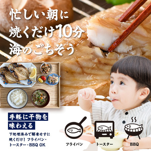 <訳あり> 厳選 干物 お試し版 (総量10枚) 簡単 調理 干物 あじ かます さば ぶり ぶりかま 開き 魚 海鮮 冷凍 詰め合わせ 大分県 佐伯市 やまろ渡邉【DL33】【鶴見食賓館】