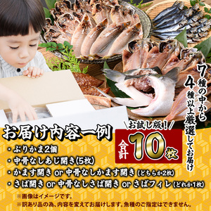 <訳あり> 厳選 干物 お試し版 (総量10枚) 簡単 調理 干物 あじ かます さば ぶり ぶりかま 開き 魚 海鮮 冷凍 詰め合わせ 大分県 佐伯市 やまろ渡邉【DL33】【鶴見食賓館】
