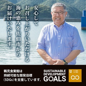 <訳あり> 厳選 干物 お試し版 (総量10枚) 簡単 調理 干物 あじ かます さば ぶり ぶりかま 開き 魚 海鮮 冷凍 詰め合わせ 大分県 佐伯市 やまろ渡邉【DL33】【鶴見食賓館】
