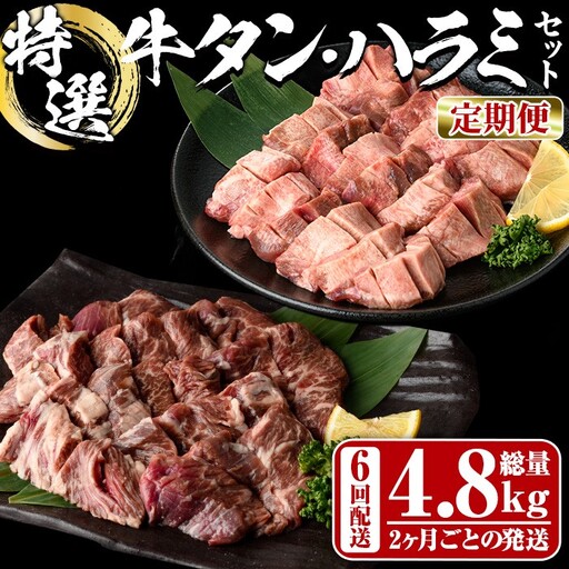 ＜定期便・全6回 (2か月ごとの発送)＞ 特選 牛タン ・ 牛ハラミ セット (総量4.8kg) 定期便 小分け 牛肉 肉 タン 牛たん ハラミ 牛はらみ 詰め合わせ 味付け 焼肉 塩 BBQ 冷凍 大分県 佐伯市【DH328】【ネクサ】