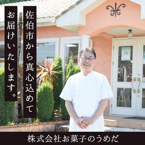 吟醸餡ようかん (4本:各45g) 羊羹 ようかん 和菓子 スイーツ お菓子 おやつ 吟醸餡 小倉 抹茶 珈琲 お取り寄せ 個装 常温 大分県 佐伯市 【AG129】【お菓子のウメダ】
