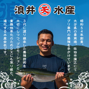 天薫 ぶり藁焼き (約170g×2個) 鰤 ぶり ブリ 魚 鮮魚 炙り あぶり たたき 旬 国産 おかず お弁当 簡単調理 数量限定 大分県 佐伯市 特産品【GS005】【浪井丸天水産】
