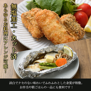 < 訳あり > 骨取り 白身魚 切身 (約400g・1袋) 魚 切り身 小分け お試し 骨取り カット済 無塩 簡単調理 冷凍 国産 大分県産 おかず おつまみ お弁当 にべ ニベ 【GO019】【水元】