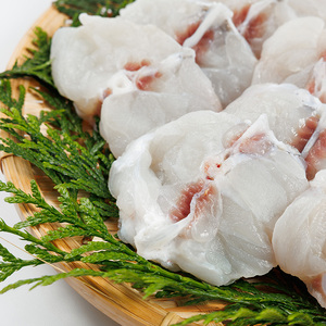 ＜ 訳あり ・ 簡易包装 ＞ 豊後水道 とらふぐ 切り身 (計1.2kg) ふぐ フグ トラフグ ふぐ鍋 唐揚げ ふぐちり てっちり 小分け 切身 切り身魚 切身魚 大容量 国産 冷凍 養殖 岬ふぐ【JJ002】【浪井丸一水産】