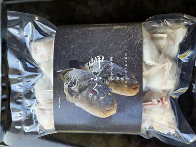 ＜ 訳あり ・ 簡易包装 ＞ 豊後水道 とらふぐ 切り身 (計1.2kg) ふぐ フグ トラフグ ふぐ鍋 唐揚げ ふぐちり てっちり 小分け 切身 切り身魚 切身魚 大容量 国産 冷凍 養殖 岬ふぐ【JJ002】【浪井丸一水産】