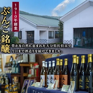 長期樽貯蔵酒 『狩生Classic 17年』(500ml×1本) プレミアム 数量限定 酒 アルコール 木樽 貯蔵酒 国産 【AN97】【ぶんご銘醸】