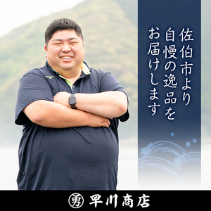 すりみ天いなり セット (計8個・4個入×2袋) すりみ すり身 いなり いりこ 鰹節 魚 魚介 弁当 惣菜 冷凍 セット 大分県 佐伯市【FK05】【早川商店】