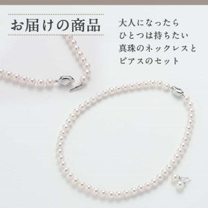 アコヤ真珠 ネックレス ピアス セット (7.5-8mm珠) 真珠 パール ...