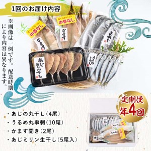 ＜定期便・全４回 (3ヶ月ごと)＞ 佐伯の干物食べくらべセット 3ヶ月ごと 干物セット ひもの 鯵 あじ アジ うるめいわし かます 開き ひらき 丸干し みりん干し 魚 海鮮 冷凍 詰め合わせ セット 【AL92】【さいきりーふ】