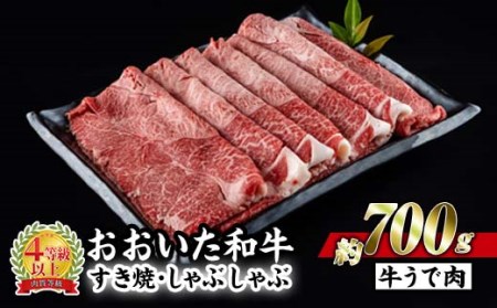 おおいた 和牛 すき焼き しゃぶしゃぶ用 (700g・ウデ肉) 国産 豊後牛 惣菜 おかず うで肉 すき焼 鍋 百年の恵み 大分県 佐伯市【BD183】【西日本畜産 (株)】
