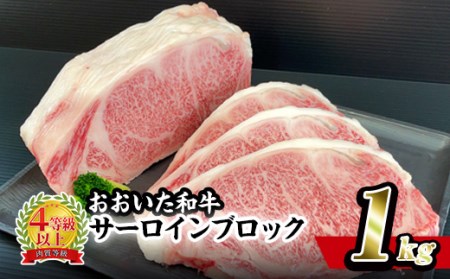 おおいた 和牛 サーロイン ブロック (1kg) 国産 豊後牛 ステーキ BBQ バーベキュー 惣菜 やきにく おかず 百年の恵み 大分県 佐伯市【BD190】【西日本畜産 (株)】