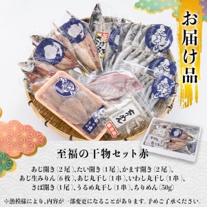老舗海産物問屋 選りすぐり干物 セット 赤 (9種)あじ 鯵 たい 鯛 みりん ちりめん さば 鯖 海鮮 魚 いわし セット 詰合せ 【BQ69】【佐伯海産(株)】