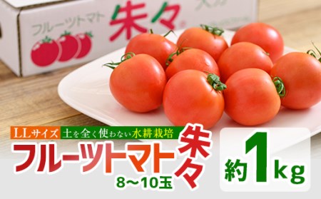 フルーツトマト 朱々 LLサイズ (計1kg・8-10玉) LL 高糖度 糖度 フルーツトマト トマト 野菜 サラダ 大分県 佐伯市 九州産 国産 大分県 佐伯市【CH61】【サニープレイス】