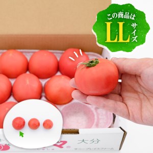 フルーツトマト 朱々 LLサイズ (計1kg・8-10玉) LL 高糖度 糖度 フルーツトマト トマト 野菜 サラダ 大分県 佐伯市 九州産 国産 大分県 佐伯市【CH61】【サニープレイス】