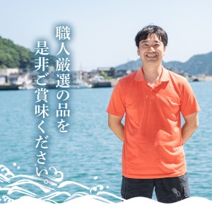 職人厳選干物セット (約7種) 干物 あじ 鯵 さば 鯖 丸干し みりん干し 開き 魚 海鮮 冷凍 詰め合わせ セット 大分県 佐伯市 【CL62】【 (有)ヤマク海産】