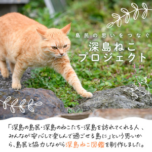 「深島ねこ図鑑」（２冊）　猫たちの表情に癒されます。