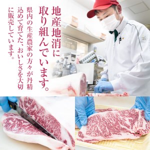  おおいた 豊後牛 サーロイン ステーキ (計400g・200g×2枚) 国産 豊後牛 牛肉 BBQ バーベキュー ステーキ 惣菜 おかず 冷凍 大分県 佐伯市【CQ13】【 (株)Aコープ九州鶴見店】
