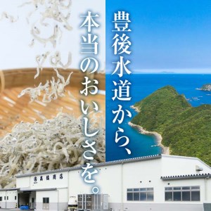  豊後水道産 しらす (合計600g・100g×6袋) 冷凍 しらす しらす丼 丼ぶり 魚 さかな ご飯 ごはん 炒飯 チャーハン パスタ サラダ 国産 大分県 パック 小分け 便利 大分県 佐伯市【CT09】【 (有)高橋商店】