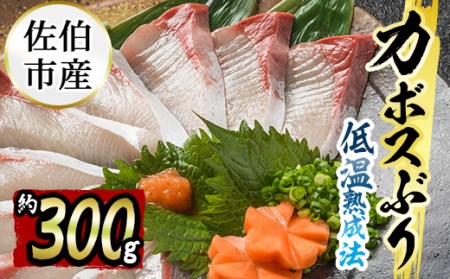 刺身用 佐伯産カボスぶり 低温熟成魚切り身 約３００ｇ 大分県佐伯市 ふるさと納税サイト ふるなび